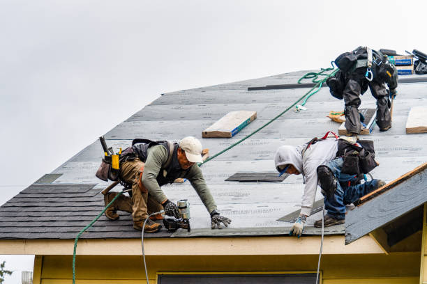 Professional Storm Damage Roof Repair technician working in Dryden, MI