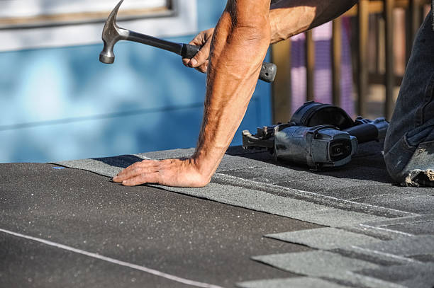Affordable Storm Damage Roof Repair solutions in Dryden, MI